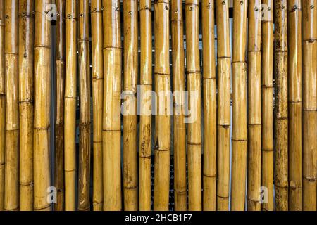 Alte braune Ton Bambus einfache Wand oder Bamboo Zaun Textur Hintergrund für Innen-oder Außenbereich Design Vintage Ton. Hintergrund mit braunen Bambusstäben Stockfoto