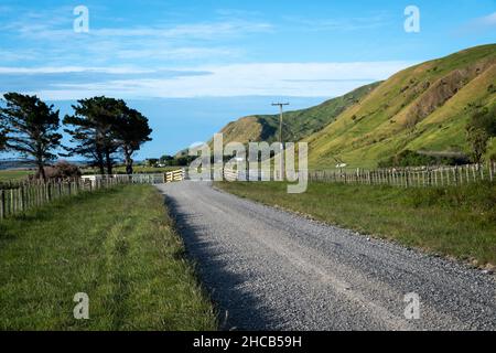 Landstraße, Glenburn, Wairarapa, Nordinsel, Neuseeland Stockfoto