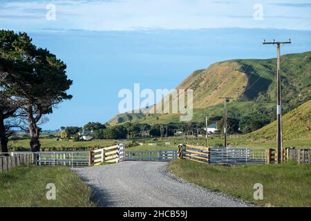 Landstraße, Glenburn, Wairarapa, Nordinsel, Neuseeland Stockfoto