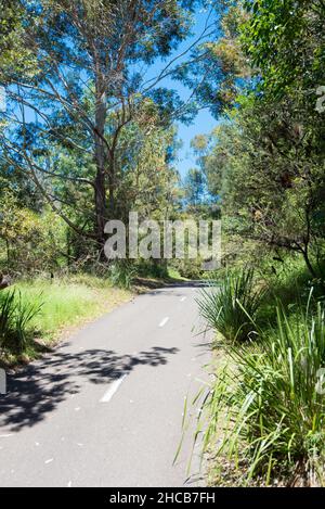 Ein öffentlicher Fahrrad- und Wanderweg in der Nähe des Hallstrom Parks in Willoughby, Sydney, New South Wales, Australien Stockfoto