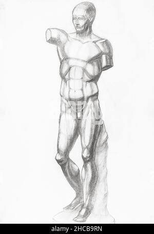 Akademische Zeichnung - Skizze der anatomischen Ecorche-Figur aus Gipsguss von Hand mit Graphitstift auf weißem Papier gezeichnet Stockfoto