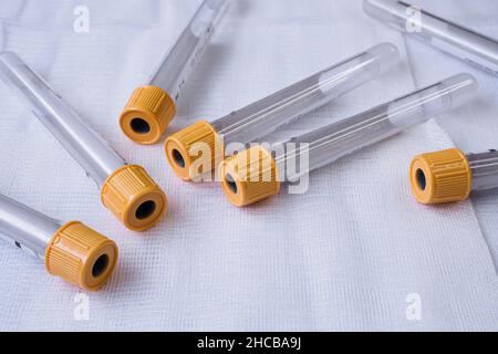 Kunststoff-Reagenzgläser mit Verschlusskappen für die Probenentnahme. Blutprobenröhrchen. Stockfoto
