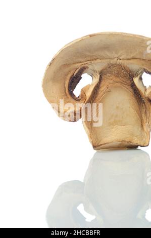 Getrocknete Steinpilze In Scheiben Schneiden Stockfoto