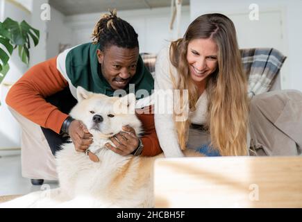 Glücklicher Mann, der den Kopf auf den Bauch einer Schwangeren legt und zu Hause sitzt Stockfoto