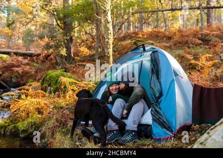 Mann küsst Freundin von Hund im Zelt im Herbstwald Stockfoto