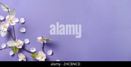 Handemade Papier Apfelblüte auf Lavendel Hintergrund Stockfoto