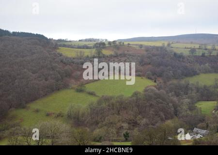 Eine Wanderung im Dezember in den Hügeln von Nord-Wales mit Blick auf die umliegende Landschaft vom Ruabon-Berg aus. Stockfoto