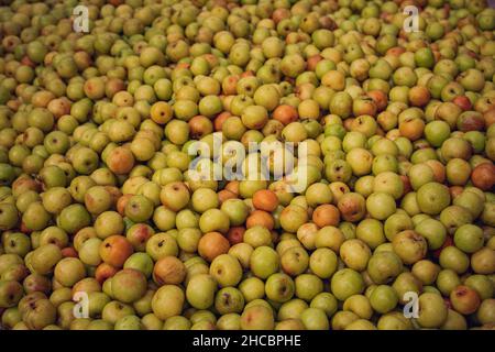 Früchte der Jujube aus Bangladesch zum Verkauf auf einem Dorfmarkt Stockfoto