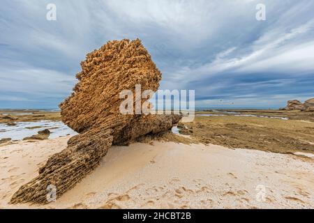 Männlicher Tourist, der Wellen fotografiert, die gegen die Küste des Portsea Surf Beach plätschern Stockfoto