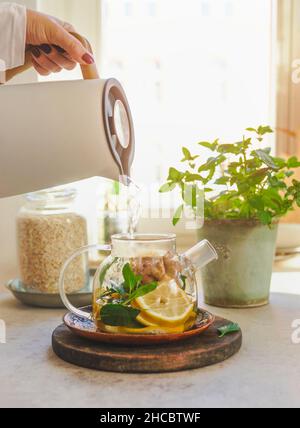 Gesunder Tee mit Zitrone, Ingwer und Minze in Glas-Teekocher auf Küchentisch mit Kräutern im Fensterhintergrund mit natürlichem Licht. Wasser von Hand aus gießen Stockfoto