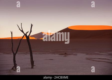 Tote Kameldornbäume vor roten Dünen und Sonnenuntergangshimmel in Deadvlei, Sossusvlei, Namibia Stockfoto