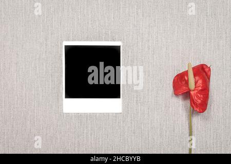 Leeres polaroid-Bild auf grauem Hintergrund. Stockfoto