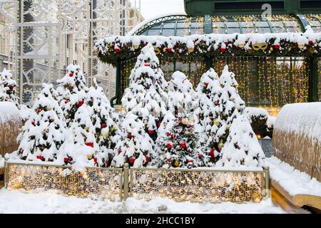 Weihnachtliche schneebedeckte Bäume schmücken die Straßen der Stadt Stockfoto