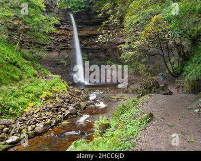 Hardraw Kraft, Wasserfall auf der Hardraw Beck in Hardraw Narbe, Yorkshire, Wensleydale. Stockfoto