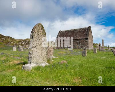 Bluebells, Hyacinthoides non-scripta, wächst auf dem Abbey-Friedhof, Iona, Schottland. Stockfoto