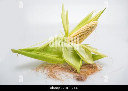 Maiskolben mit seinen Körnern, um Nahrung zuzubereiten Stockfoto