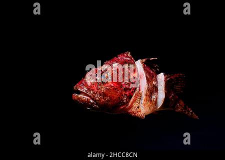 Reiche und nahrhafte Mahlzeiten, nahrhafte Gerichte. Stockfoto