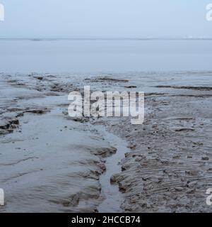 Schlammflattern am Ufer des Parrett und der Severn Mündung bei Ebbe im Bristol Channel. Stockfoto