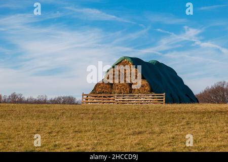 Runde Heuballen übereinander auf einem Feld gestapelt Stockfoto