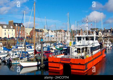 Der geschäftige Yachthafen am Hafen von Arbroath, Angus, Schottland, Großbritannien, ist voll von Booten aller Größen, von kleinen Fischerbooten bis hin zu Yachten und größeren Arbeitsbooten. Stockfoto