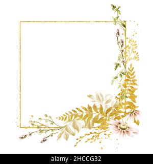 Wilde Gräser und Wildblumen Rahmen. Sommer ländliche Komposition, Bouquet, Dekor-Konzept. Handgezeichnete Aquarellillustration isoliert auf Weiß Stockfoto