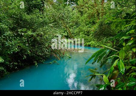 Blauer Fluss Rio Celeste, Parque Nacional Volcán Tenorio, Costa Rica, Mittelamerika Stockfoto