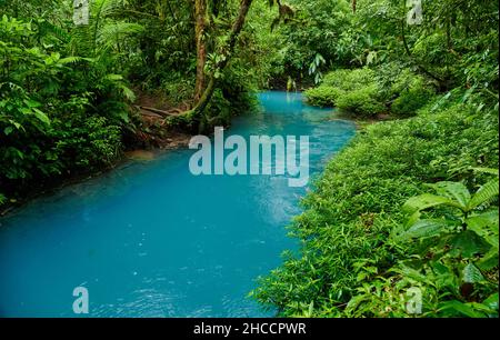 Blauer Fluss Rio Celeste, Parque Nacional Volcán Tenorio, Costa Rica, Mittelamerika Stockfoto