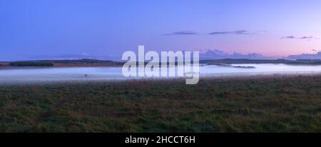 Eine Decke aus Bodennebel, die über Wiesen und Wälder im Tal rollt, mit einem roten, rosa, orangen und blauen Sonnenuntergangshimmel, Wiltshire UK Stockfoto