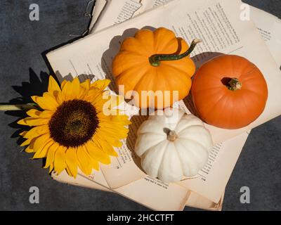 Draufsicht auf Kürbisse, Sonnenblumen und Musiknoten Stockfoto