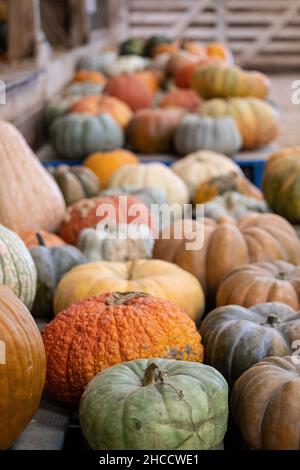 Vertikale Aufnahme eines Stapels von bunten Kürbissen im Freien auf dem Markt auf der Holzoberfläche Stockfoto
