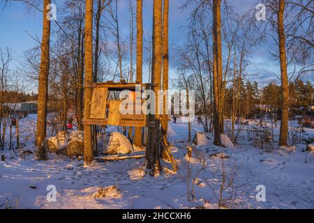 Schöne Aussicht auf handgemachte Konstruktion zum Spielen zwischen Bäumen. Spielplatz im Freien an sonnigen Wintertagen. Schweden. Stockfoto