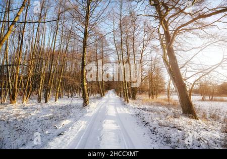Schöne Winterlandschaft mit Landstraße. Stockfoto