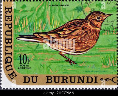 Abgesagte Briefmarke gedruckt von Burundi, die eurasische Skylark zeigt, um 1971. Stockfoto