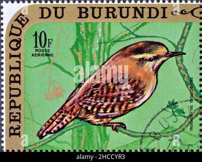 Abgesagte Briefmarke gedruckt von Burundi, die eurasische Wren zeigt, um 1971. Stockfoto