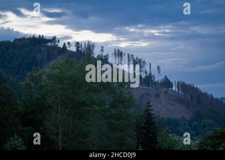 Berg mit Bäumen und einem bewölkten Himmel darüber Stockfoto