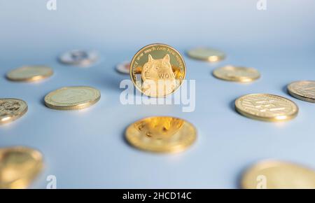 Dogecoin-Meme-Münze, die zentral zwischen einem Haufen Krypto-Münzen auf blauem Hintergrund platziert ist. Banner mit goldener Doge-Marke. Nahaufnahme, Weichfokus. Stockfoto