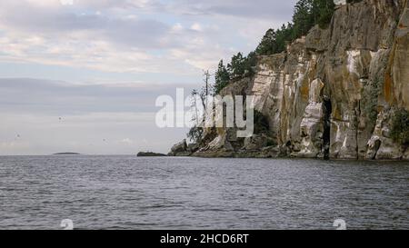 Kormorane Cliff Hangout Vancouver Island Kanada Stockfoto