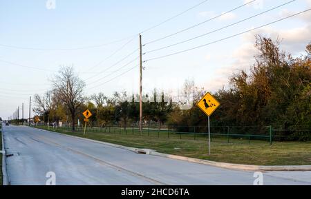 Entenzone Warnschild Form von Rhombus in Rücken und gelb mit Entenfamilie Ikone, Transport im katy Park, Texas, USA. Stockfoto