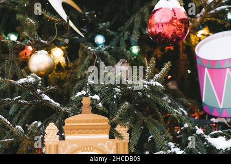 Weihnachtsdekoration. Spatzen sitzen auf dem Weihnachtsbaum. Hochwertige Fotos Stockfoto