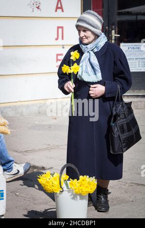 Bild einer älteren alten Frau in einer Straße in Sombor, Serbien, die Narzissen hält. Narcissus ist eine Gattung überwiegend frühlingsblühender mehrjähriger Pflanzen Stockfoto