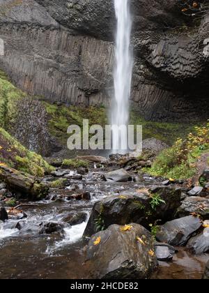 Latourell Falls, die im Herbst im Guy W. Talbot State Park in der Columbia River Gorge in Oregon über einen säulenförmigen Basalt-Felsvorsprung kaskadieren. Stockfoto