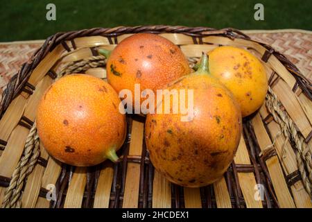 Passionfrüchte im Weidenkorb. Gelbe Passionfrucht. Köstliche Passionsfrucht einzeln in der Handfläche isoliert. Passionsfrucht Stockfoto