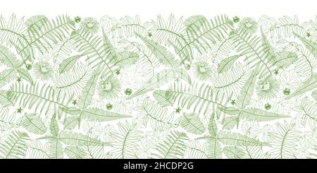 Vektor weißen horizontalen Rand Farn Blätter Muster. Perfekt für Poster, Grußkarten und andere Grafikprojekte. Stock Vektor
