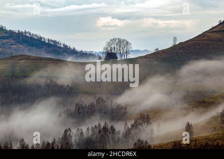 Traditionelle reetgedeckte Hütte, die im Nebel vor einem malerischen Himmel liegt. Foto aufgenommen am 30th. April 2021 im alten Dorf Dumesti, Kreis Alba, Roma Stockfoto