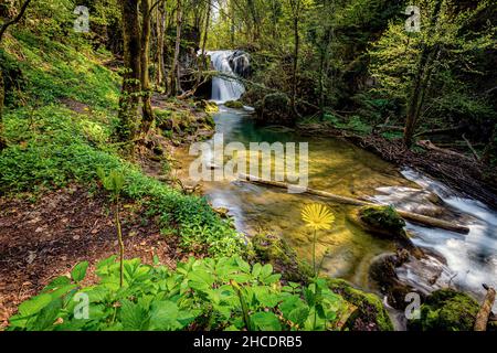 Der Wasserfall La Vaioaga, einer von vielen Kaskaden, die beim Trekking im Nationalpark Cheile Nerei-Beusnita anzutreffen sind. Foto aufgenommen am 24th. April 2021 C Stockfoto