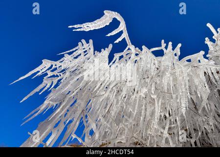 QINGZHOU, CHINA - 28. DEZEMBER 2021 - am 28. Dezember 2 wird ein Eisfall am malerischen Ort am Berg Tianci in der Stadt Qingzhou, Provinz Shandong, China, gesehen Stockfoto