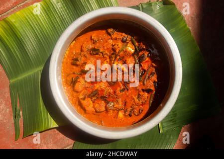 Fisch-kerala-Fisch-Kerala-Fisch-Kera Stockfoto