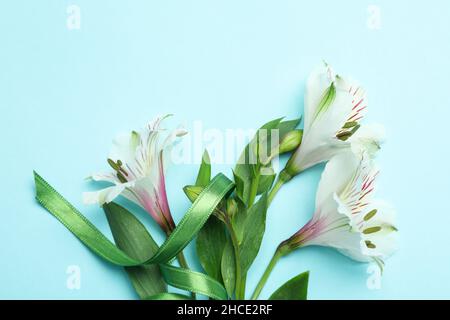 Lilien mit grünem Band auf blauem Hintergrund Stockfoto