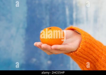 Crop-Frau trägt einen orangefarbenen Strickpullover aus Wolle mit reifer Mandarine auf der Handfläche vor blauem Hintergrund Stockfoto