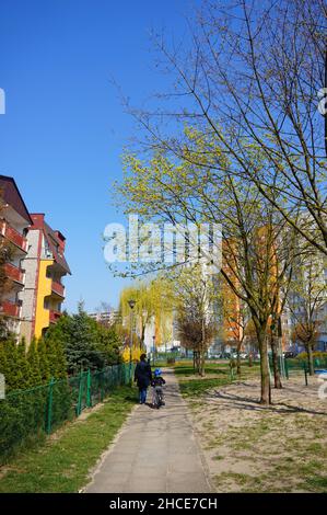 Der kleine Fußweg mit Bäumen und Mehrfamilienhäusern im Stadtteil Stare Zegrze. Stockfoto